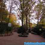 efteling-16-11-2019-033.jpg