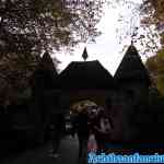 efteling-16-11-2019-035.jpg