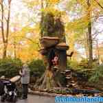 efteling-16-11-2019-051.jpg