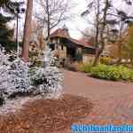 efteling-16-11-2019-067.jpg