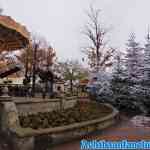 efteling-16-11-2019-070.jpg