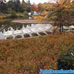 efteling-16-11-2019-086.jpg