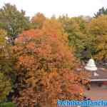 efteling-16-11-2019-089.jpg