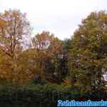 efteling-16-11-2019-108.jpg