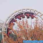 efteling-16-11-2019-143.jpg