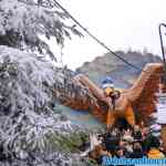 efteling-26-12-2019-039.jpg