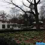 img-2297.jpg