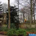 img-2299.jpg