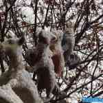 img-2306.jpg