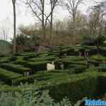 img-2336.jpg