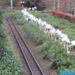 img-2337.jpg