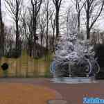 img-2338.jpg