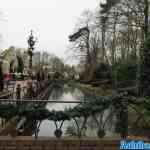 img-2339.jpg