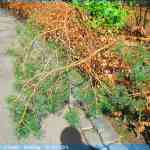 img-7686.jpg