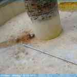 img-7687.jpg