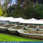 img-7691.jpg