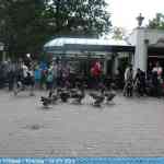 img-3420.jpg