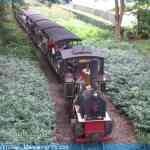 img-3429.jpg