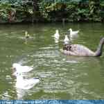 img-3441.jpg