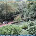 img-3452.jpg