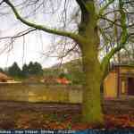 img-7907.jpg