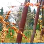 img-7919.jpg