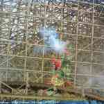 img-7925.jpg
