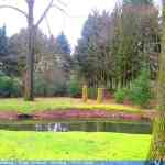 img-7962.jpg