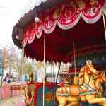 img-7974.jpg