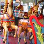 img-7975.jpg
