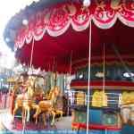 img-7997.jpg