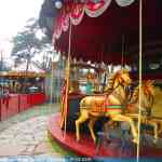 img-7998.jpg