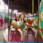 img-8002.jpg