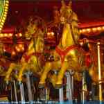 img-8046.jpg