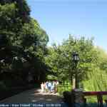 img-2461.jpg