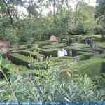img-2467.jpg
