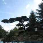 img-2470.jpg