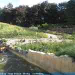 img-2490.jpg