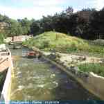 img-2491.jpg