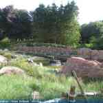 img-2492.jpg