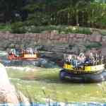 img-2494.jpg
