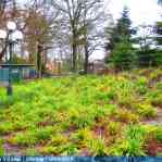 img-5900.jpg