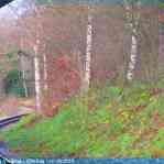 img-5947.jpg
