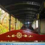 img-5950.jpg