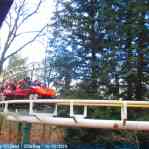 img-5954.jpg