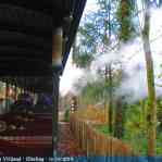img-5956.jpg