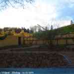 img-5961.jpg