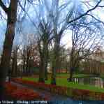 img-5964.jpg