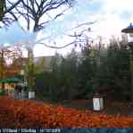 img-5966.jpg
