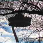 img-6004.jpg